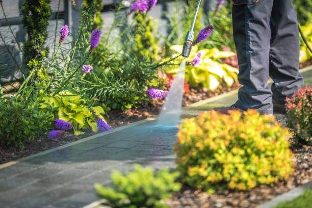 Best Driveway Pressure Washing  in Lynchburg, OH